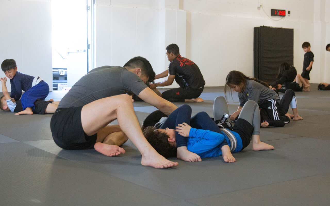 Southside Jiu-Jitsu Academy facility image