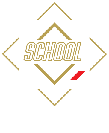 School Brazilian Jiu-Jitsu